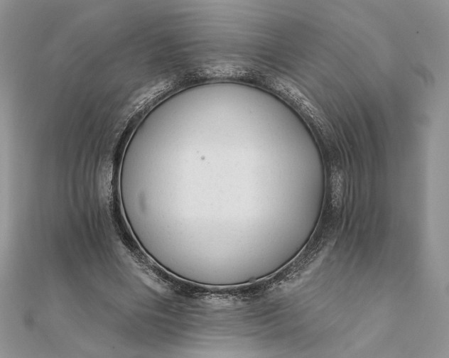 X0000111670490200907311201