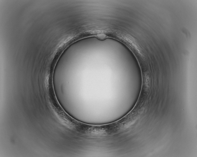 X0000111670491200907311201