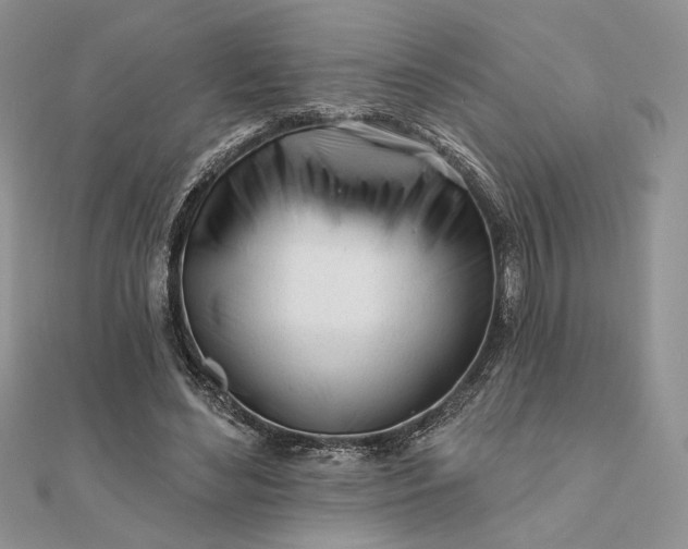 X0000111670492200907311201