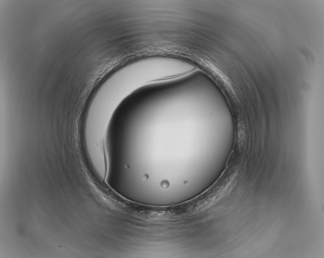 X0000111670493200907311201