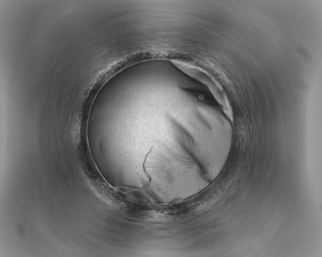 X0000111670496200907311201