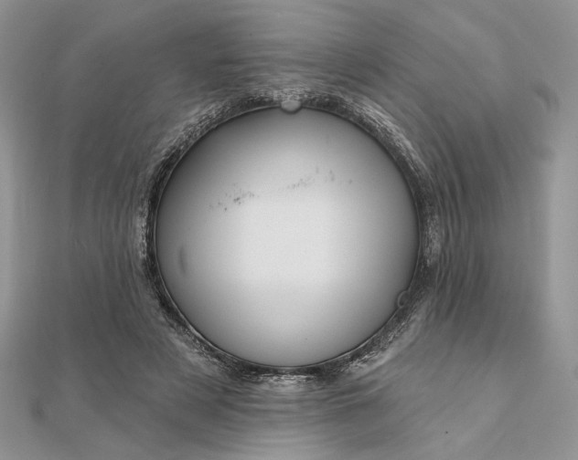 X0000111670497200907311201