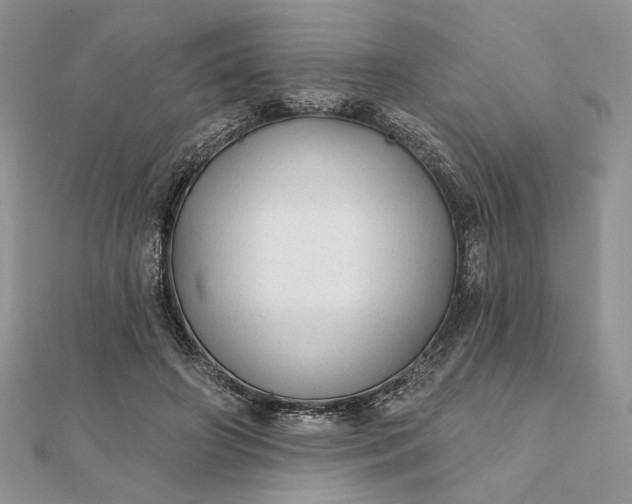 X0000111670498200907311201