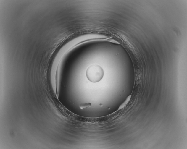 X0000111670500200907311201