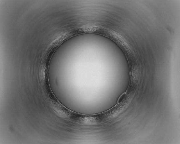 X0000111670501200907311201