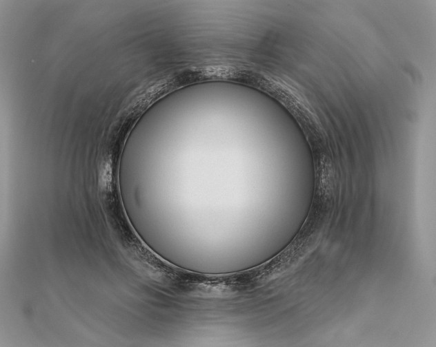 X0000111670502200907311201