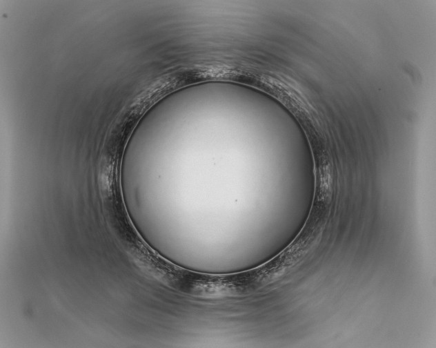 X0000111670503200907311201