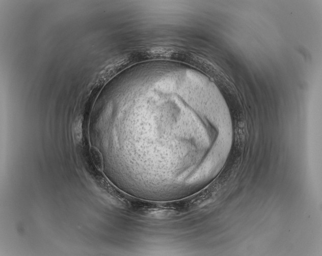 X0000111670504200907311201