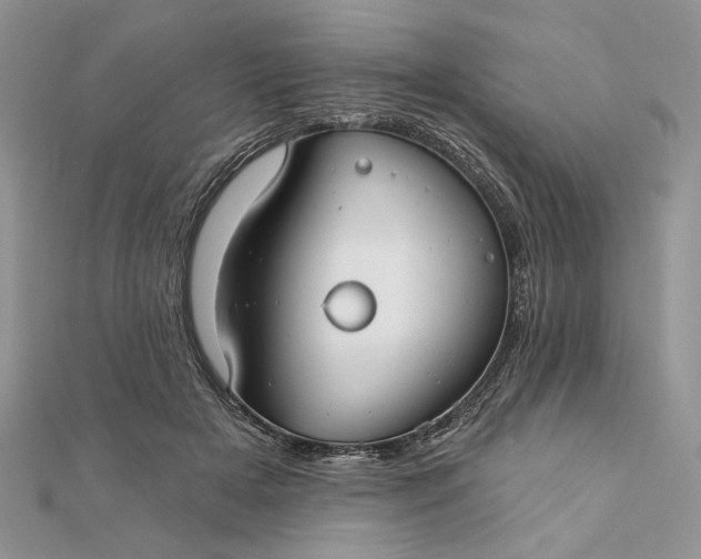 X0000111670505200907311201