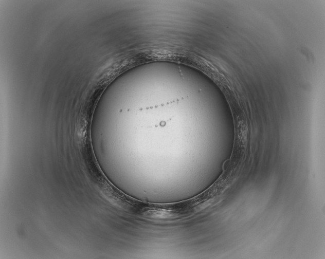 X0000111670507200907311201