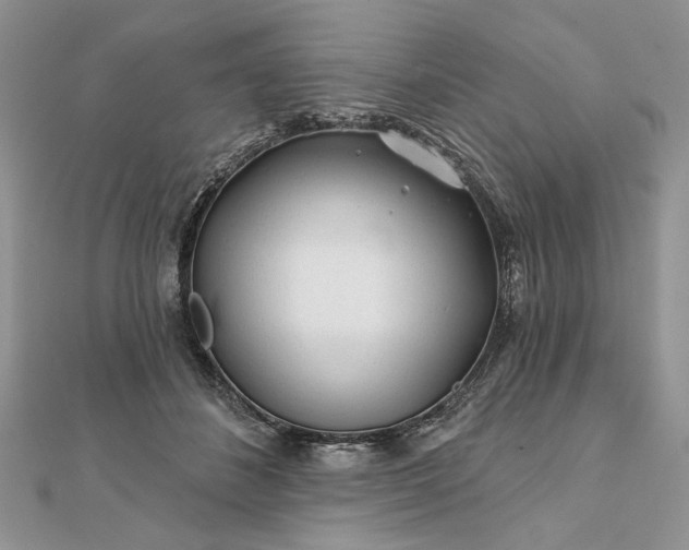 X0000111670508200907311201