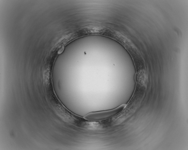 X0000111670509200907311201