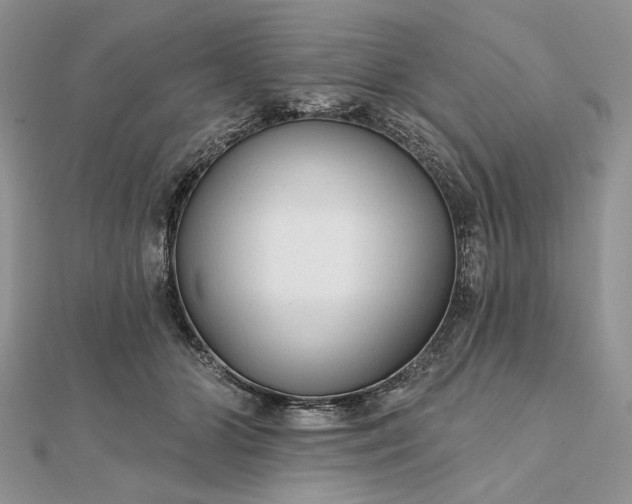 X0000111670510200907311201