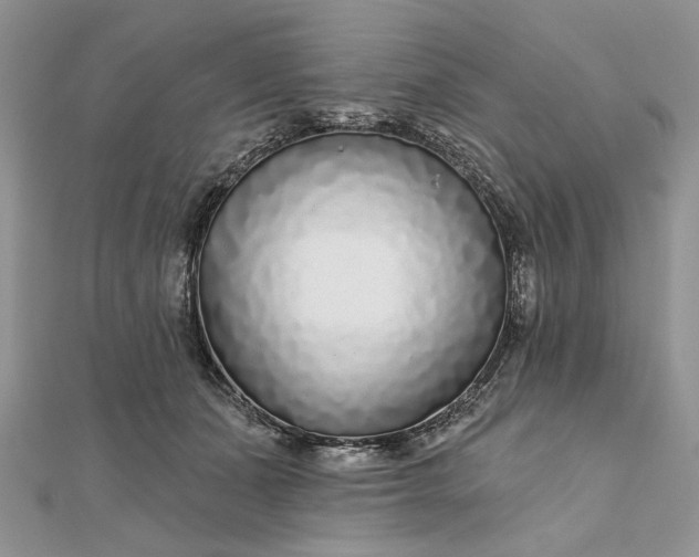 X0000111670511200907311201