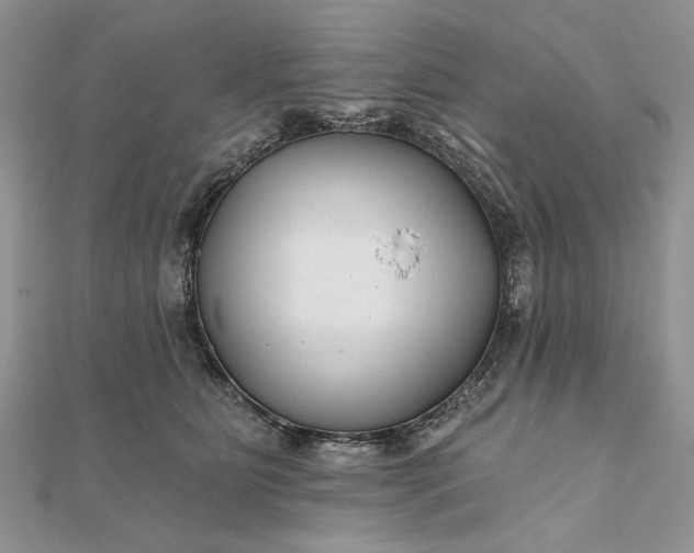 X0000111670515200907311201