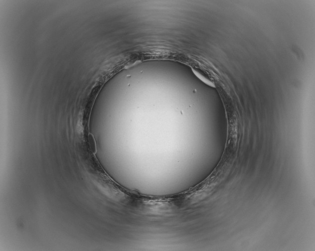 X0000111670516200907311201