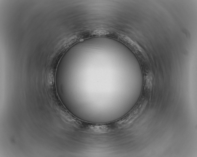 X0000111670517200907311201