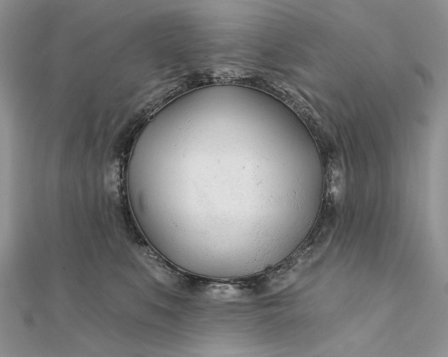 X0000111670519200907311201