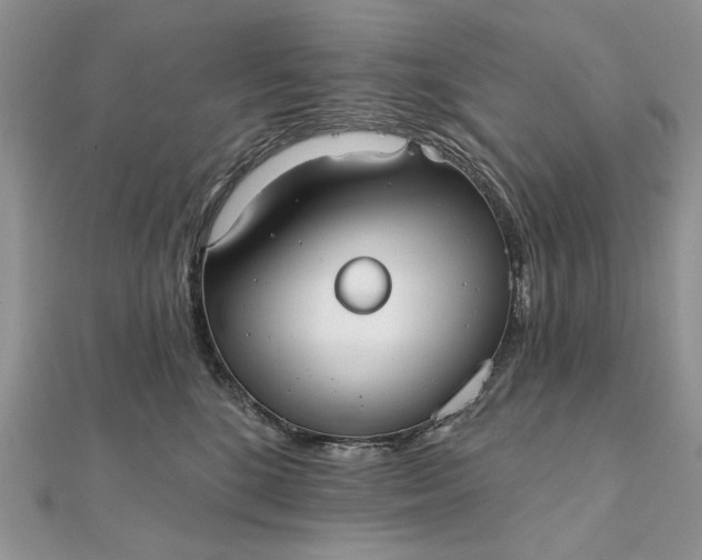 X0000111670520200907311201