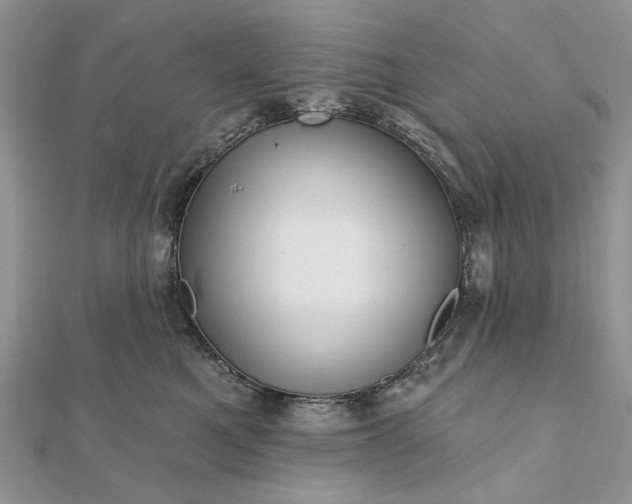 X0000111670521200907311201