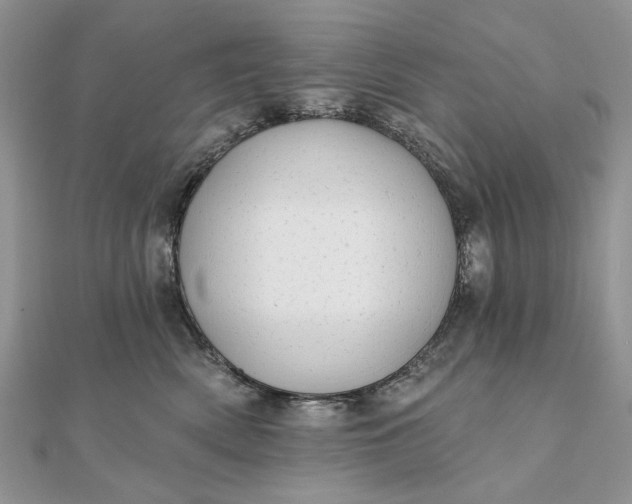 X0000111670522200907311201