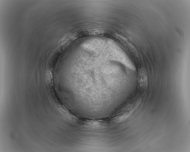 X0000111670523200907311201