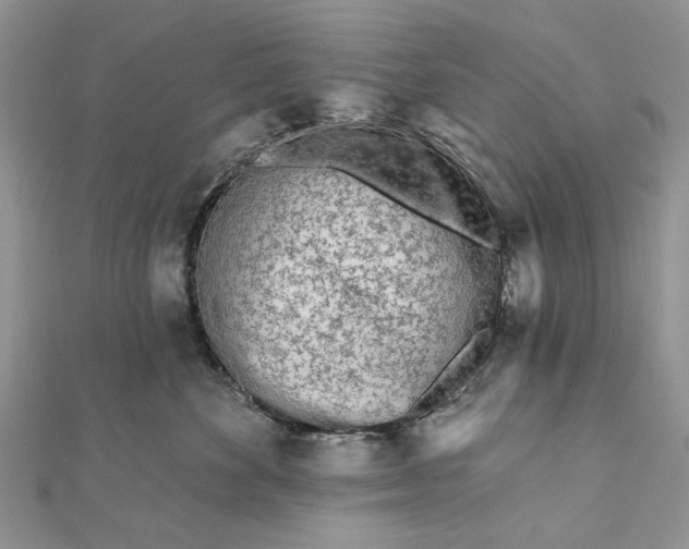 X0000111670524200907311201