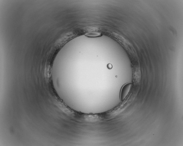 X0000111670525200907311201