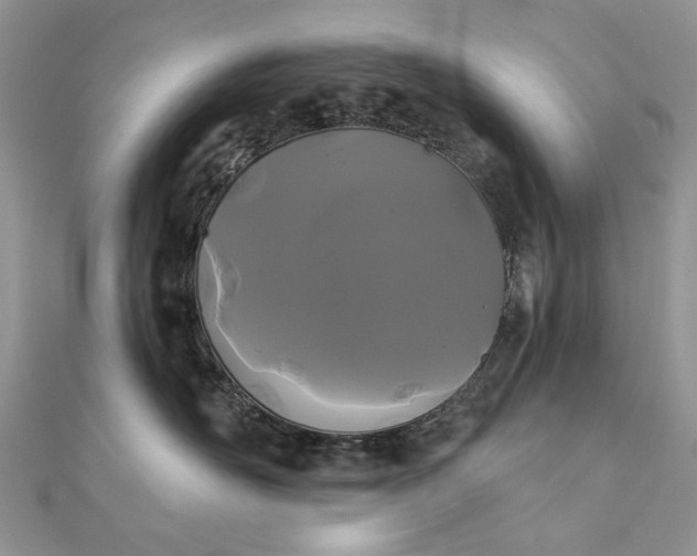 X0000111670526200907311201