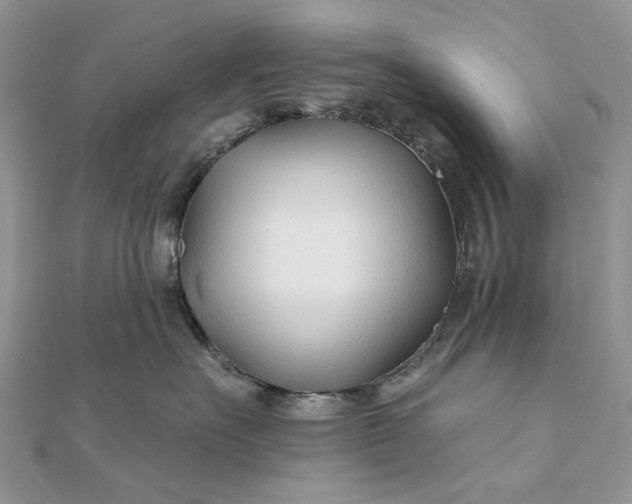 X0000111670527200907311201