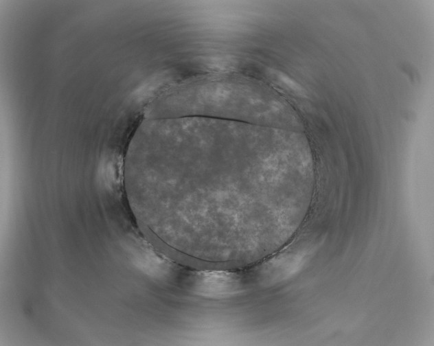 X0000111670528200907311201