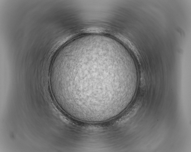 X0000111670529200907311200