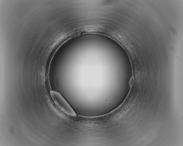 X0000111670530200907311200