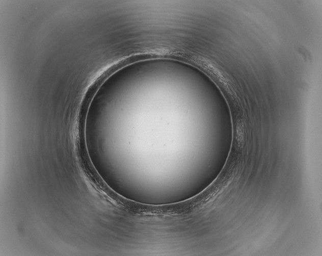 X0000111670532200907311200