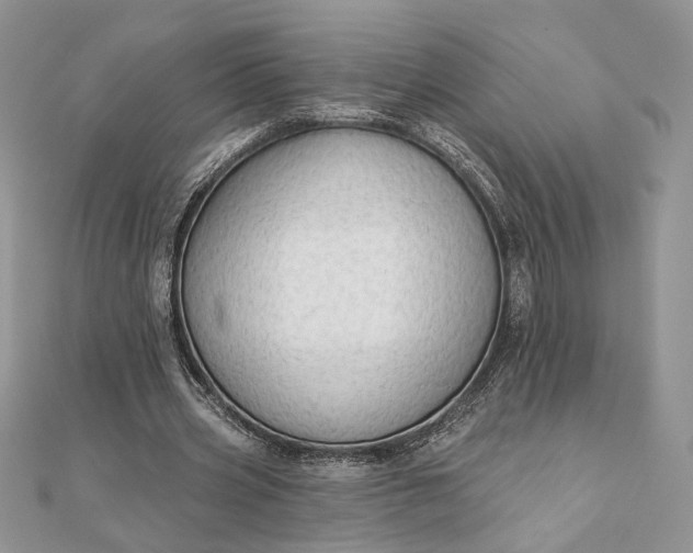 X0000111670533200907311200