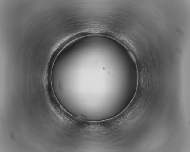 X0000111670536200907311200