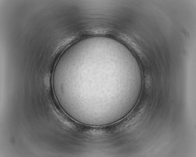 X0000111670537200907311200