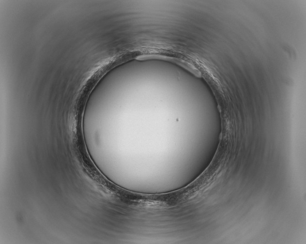 X0000111670539200907311200