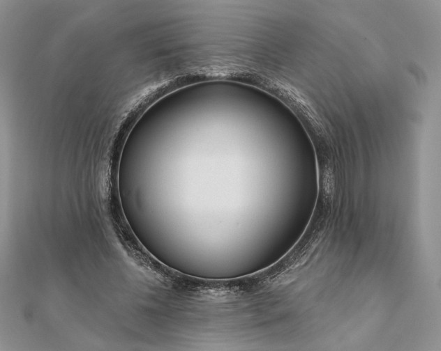 X0000111670540200907311200