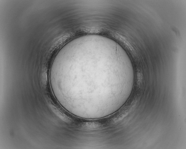 X0000111670541200907311200