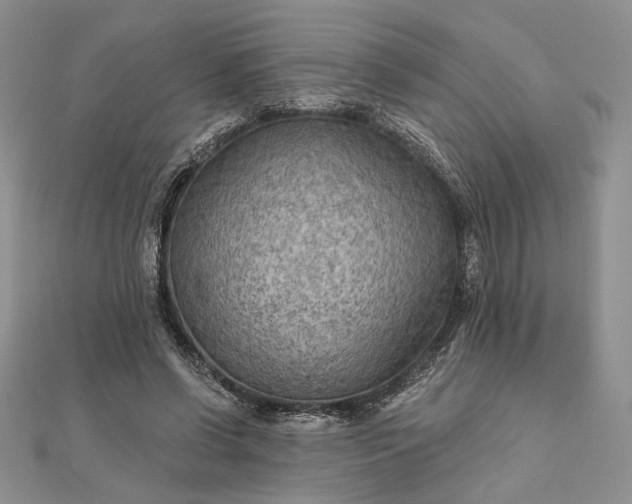 X0000111670542200907311200