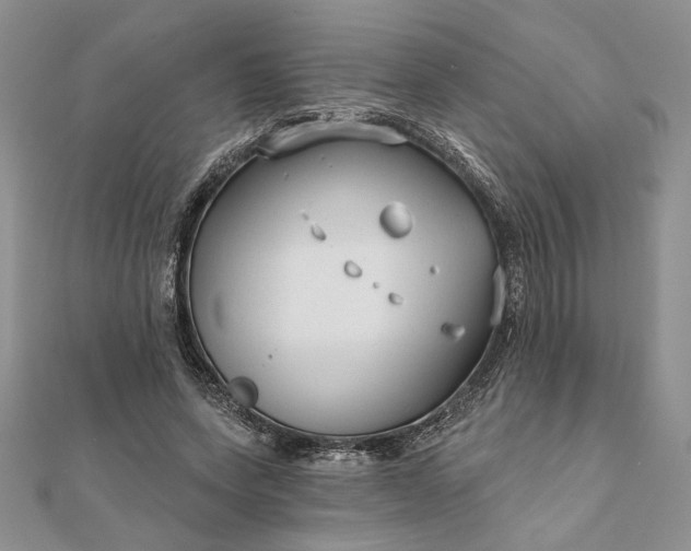 X0000111670543200907311200