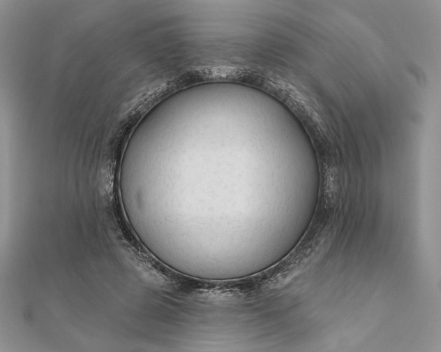 X0000111670545200907311200