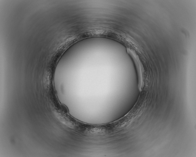 X0000111670546200907311200