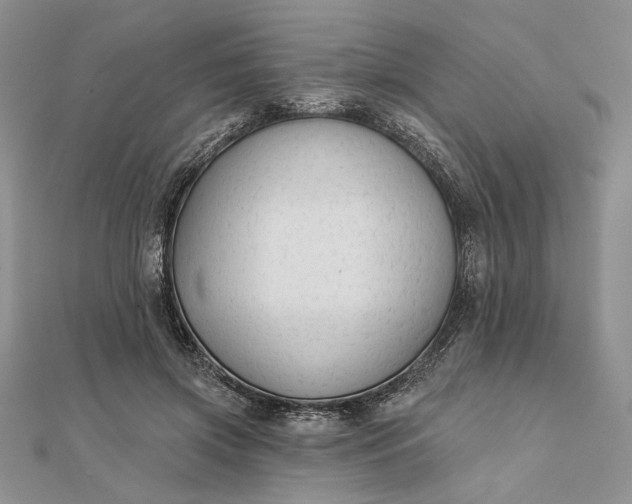 X0000111670549200907311200