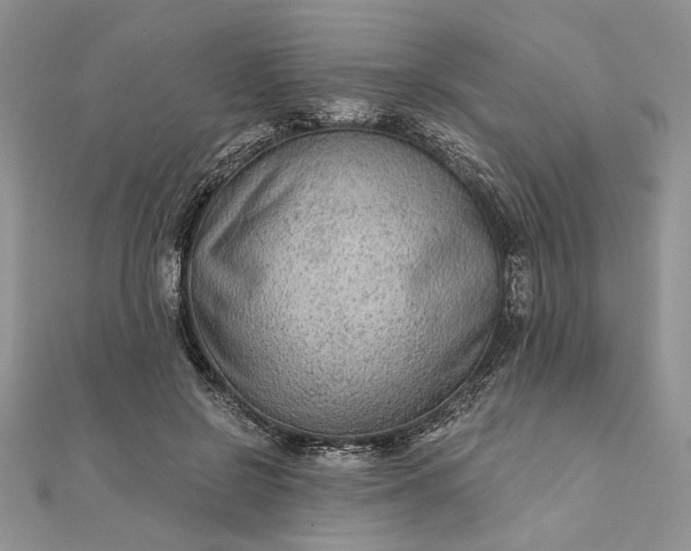 X0000111670550200907311200