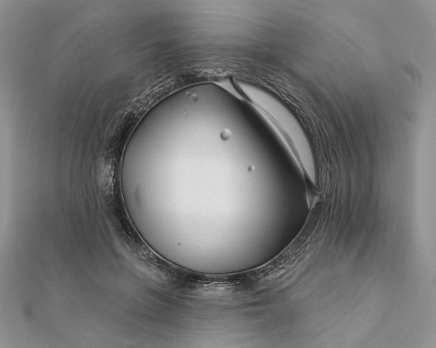 X0000111670551200907311200