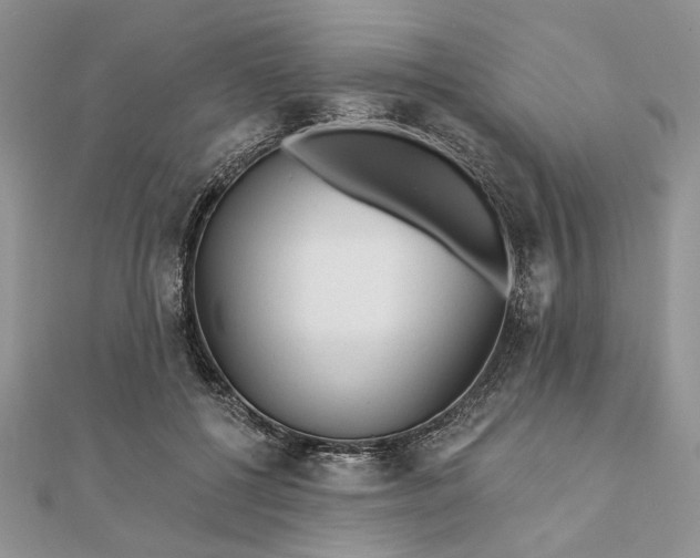 X0000111670552200907311200