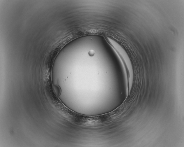 X0000111670555200907311200