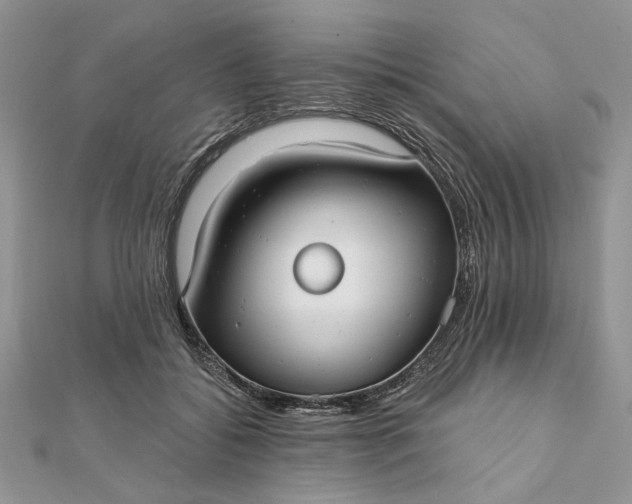 X0000111670556200907311200